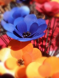 This photo of delicate flowers crafted of wood was taken by Italian photographer Rodolfo Belloli.